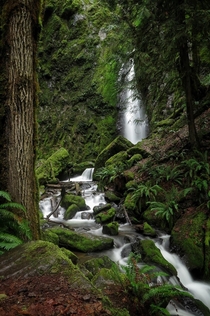 Soda creek falls in Cascadia OR 