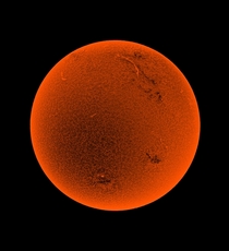 Solar disk in H-alpha 