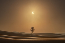 Solar eclipse as seen from a desert United Arab Emirates Credits Maxime Daviron maximedaviron