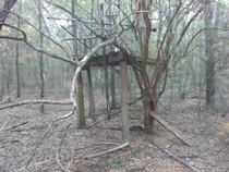 Some abandoned structure in the middle of the woods in Florida