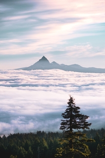 Somewhere above the clouds in Oregon 