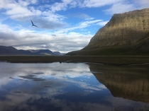 Somewhere in the majestic Westfjords of Iceland 