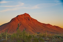 Sonoran Desert sunset glow 