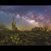 Sonoran Dreamscape - Southern Arizona 