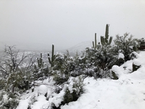 Sonoran Snowstorm AZ 