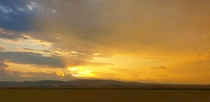 South African Gold Sunset South of Johannesburg South Africa 