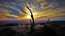 South Australian Outback at Sunset x