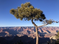 South Rim Grand Canyon National Park  OC
