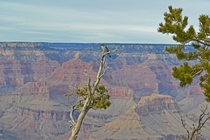 Southern Rim Grand Canyon