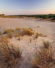 Sowiski National Park in Poland - moving sand dunes 