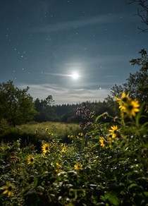Spiked moons universal release of knowledge Late summer night in Wisconsin 