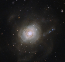 Spiral galaxy NGC  