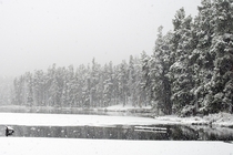 Sprague Lake snowfall Rocky Mtn Natl Park 