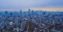 Sprawling Tokyo 