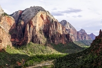 Spring at Zion National Park 