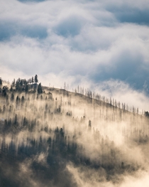Spring cloud inversion rolls over Sugarloaf Mountain Boulder Colorado OC x