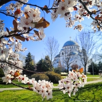Spring in Belgrade Serbia