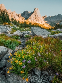 Spring in the Wind River Range WY 