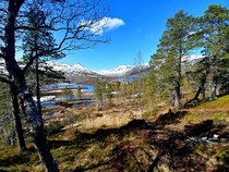 Spring on the Island of Senja in Norway 