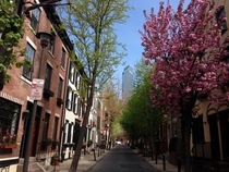 Springtime in Philadelphia 