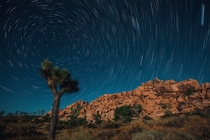 st Attempt at Star Trails in Joshua Tree 