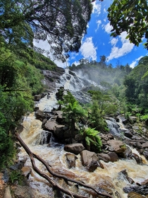 St Columba Falls after a heavy rainfall Pyengana Tasmania Australia 