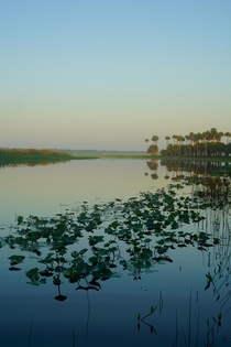 St Johns River Lake Monroe Conservation Area FL 