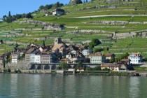 St Saphorin a winemaker village in Lavaux Unesco protected wineyards Switzerland 