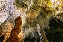 stalactites of Hastings cave Tasmania 
