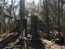 Standing columns of the Carhartt Mansion in South Carolina which was abandoned in  after the deaths of Hamilton and Wylie Carharrt due to an auto accident