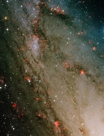 Star forming region NGC 