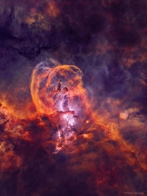 Star Forming Region NGC  Without Stars by Andrew Campbell 