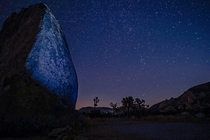 Star Gazing at Joshua Tree National Park 
