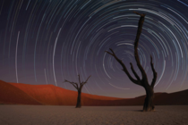 Star trails in the Namibian desert 