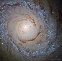 Starburst Galaxy M from Hubble