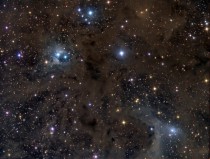 Stardust in Aries  