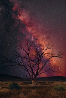 Stargazer by Peter Lik