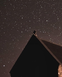 Stargazing in New Zealand