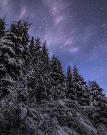 Starry winter sky near Pemberton Canada x