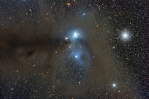 Stars and Dust Across Corona Australis -- The dust clouds effectively block light from more distant background stars in the Milky Way A characteristic blue color is produced as light from hot stars is reflected by the cosmic dust The dust also obscures st