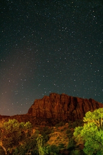 Stars in Zion National Park OC x