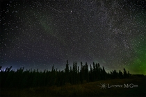 Stars on the Alaska Highway Bucking Horse BC 