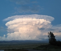 Start of a thunderhead in the Colorado Rocky Mountains 