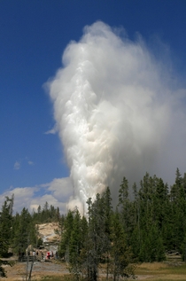 Steamboat Geyser Yellowstone National Park August  