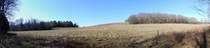 Stockpiled pasture in east TN 