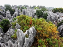 Stone Forest in Yunnan China 