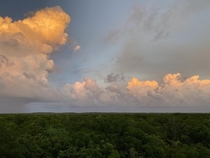 Storm Brewing Over Jungle Tree Tops in Tulum at Sunset    