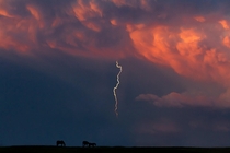 Storm out in Eastern Colorado Scored some horses on the horizon too