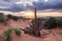 Stormy sunset in the Monument Valley desert - Monument Valley Navajo Tribal Park - 