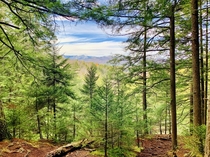 Stowe Pinnacle Trail Vermont   x 